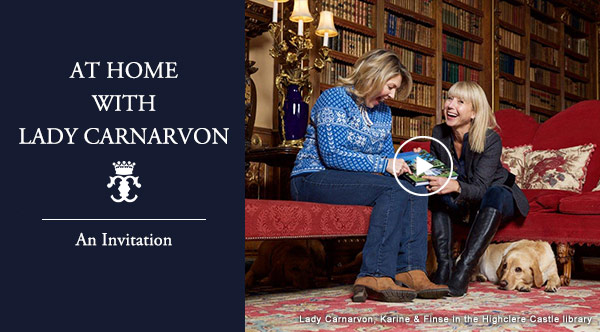 HERO Viking River Cruises